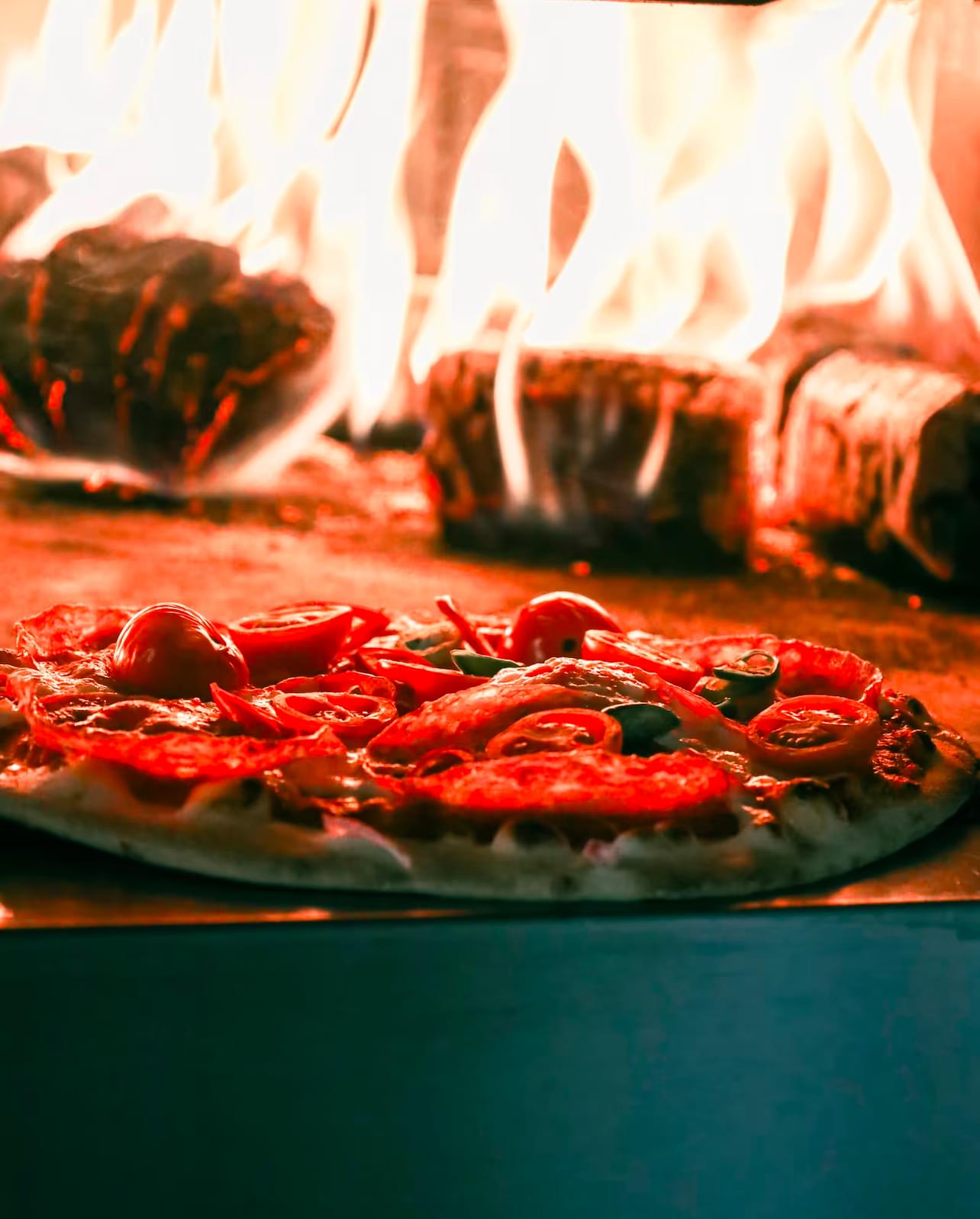 Ecoblaze Boxed Hardwood Briquettes